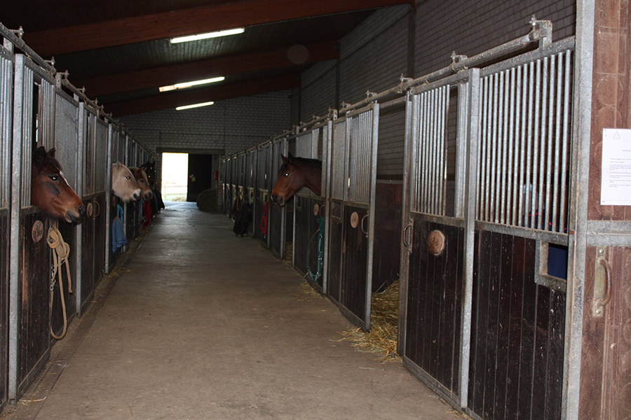 Stallgasse